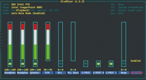 Alsamixer automute enabled